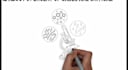 do whiteboard animation with video scribe, doodly, 2d animations