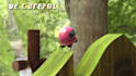 create aaa trailer for games,apps movie or crowdfunding ad