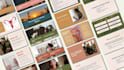 design professional canva presentation or sales pitch deck