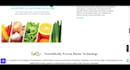 build your shopify dropshipping store with full branding shopify website