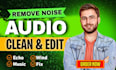 clean your audio and remove background noise clearly and professionally