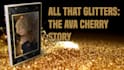 do book trailer or book promotional video