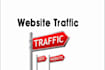 send 100 daily real people website traffic visitors
