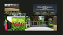 create a professional wordpress business website
