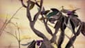 make a stop motion animation for you