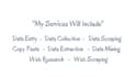 do data entry, copy paste, web research, and data scraping