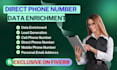do b2b leads, data enrichment, direct phone numbers