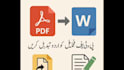 professional urdu typing PDF to word conversion  proofreading