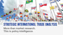 strategic international trade analysis
