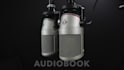 record a professional, polish male voice over narration