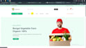 create a professional website using laravel, vue3