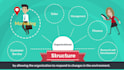 structure your business, startup, company