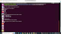 do os projects and cuda parallel programming tasks c cpp java