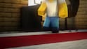 make an amazing minecraft animation for you