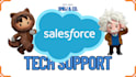 be your expert salesforce admin and developer for any sf task