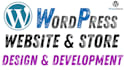 develop professional wordpress website