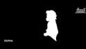 do professional rotoscoping or keying for you