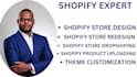 build a professional shopify store that converts visitors to buyers