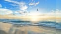add nature sounds and  brainwaves to your guided meditations