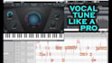 auto tune and manually tune your vocal make you professional