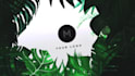 create nature tropical logo reveal