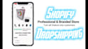 build your professional dropshipping shopify store