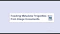 extract metadata from your files