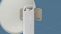 iconic 3d flower animation, 3d plant vfx, flower vfx, lifelike flower animation