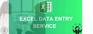 do accurate data entry and advanced excel data cleaning