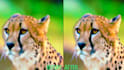 upscale, enhance, de noise, increase frame rate, restore video quality to 4k