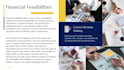 write a professional business plan and feasibility study for startups and smes