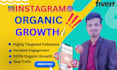 grow your instagram organically and real followers