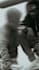 ghost rap and or ghost write dope hip hop vocals for you