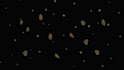 craft a breathtaking animated music video