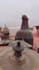 be your event photographer in morocco