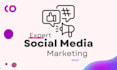 be your social media marketing expert and social platform manager