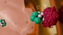 create 3d scientific animation, 3d  medical video,  custom medical product tool