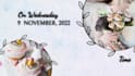 animate wedding logo or monogram and make wedding invitation, intro video
