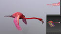do model, texture, rig, and animate for game engine and ar, VR, mr