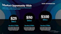 design a professional  power point presentation