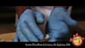do professional video editing and motion graphics