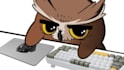 make a custom bongo cat cam for you