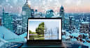 be your wordpress website virtual assistant and manager expert