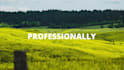edit any after effects or premiere pro templates