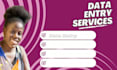 do accurate data entry, copy paste, manual typing, canva, template designs