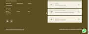 develop a webflow website, landing page, or business website,