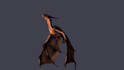 3d animator and rigger