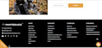 develop shopify website customize or custom code sections