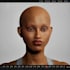 do a rig in blender or mixamo