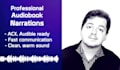 record an american male narration voice for your audiobook